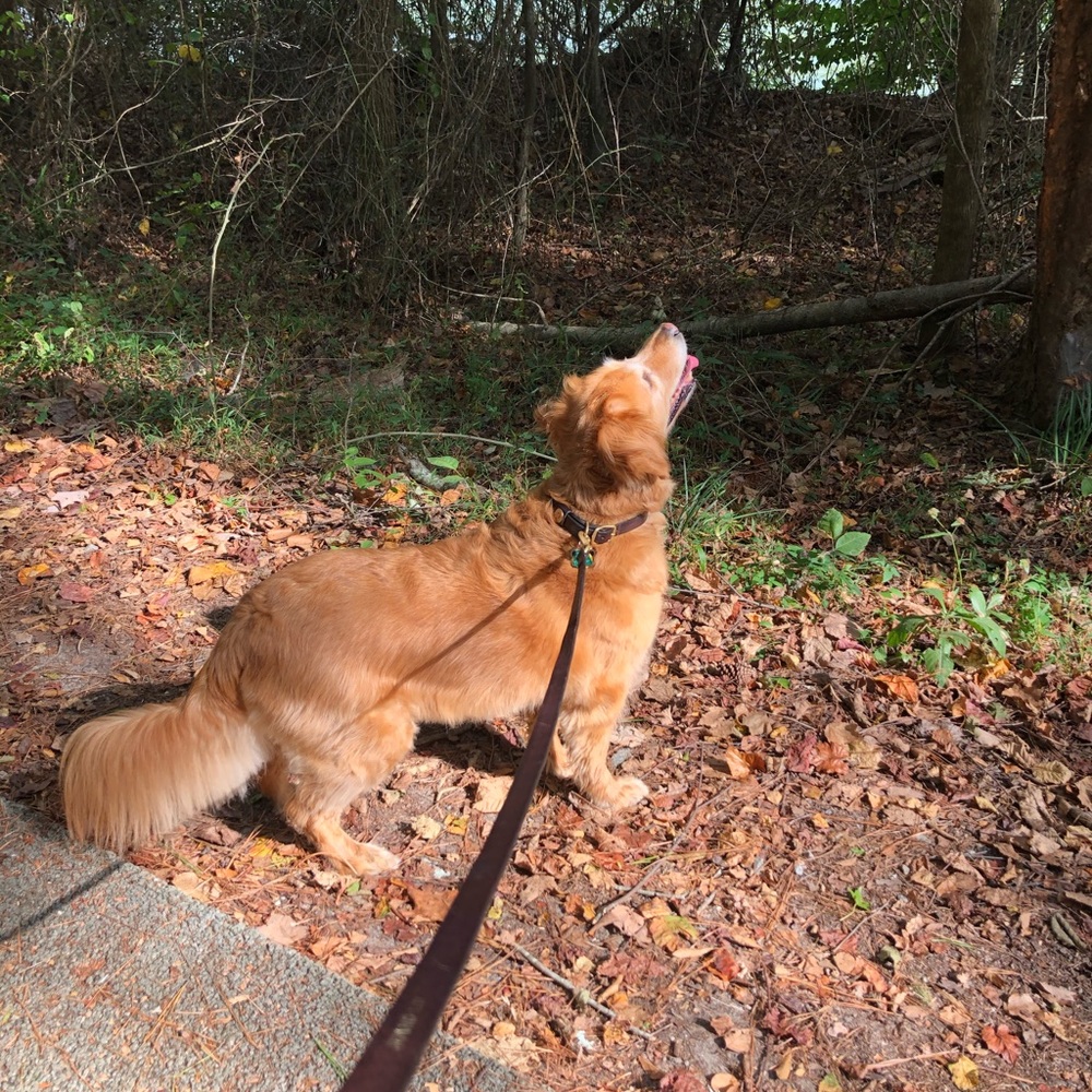 Meet your Posher, John